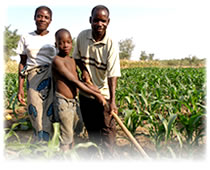 Living Skills/Vocational Training