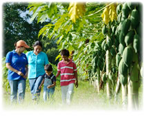 World Vision and VisionFund World Vision and VisionFund
