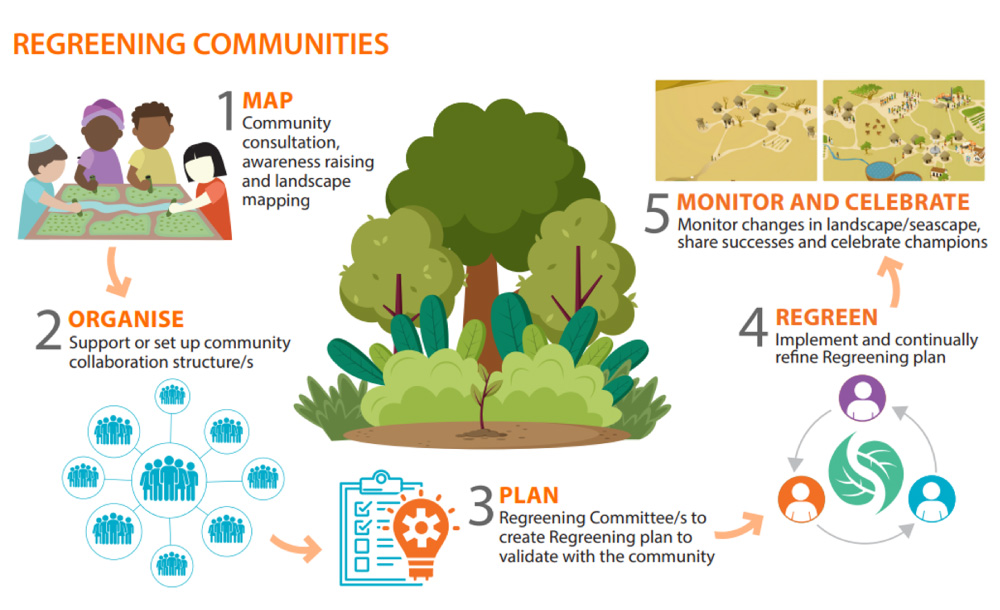 5 Steps to Regreening Communities