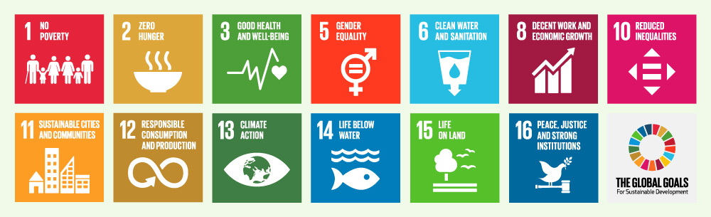 13 of the SDGs
