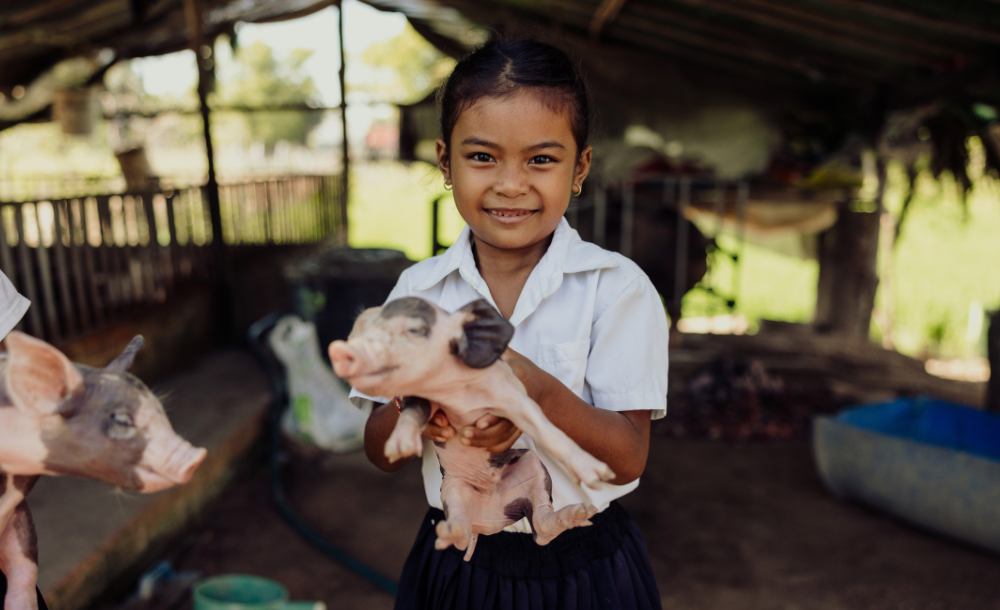Pig